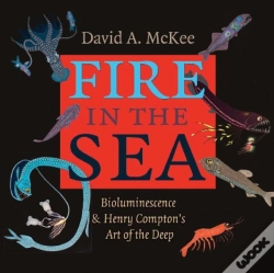 Capa do artigo Fire In The Sea