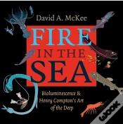 Capa do artigo Fire In The Sea