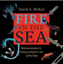 Capa do artigo Fire In The Sea