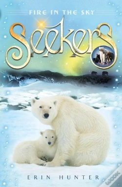 Capa do artigo Fire In The Sky