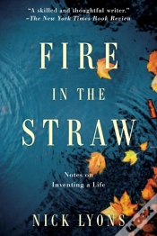 Capa do artigo Fire In The Straw