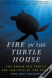 Capa do artigo Fire In The Turtle House