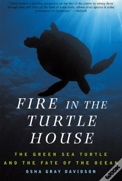 Capa do artigo Fire In The Turtle House