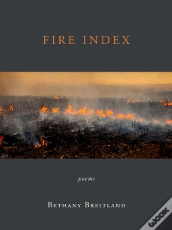 Capa do artigo Fire Index