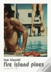 Fire Island Summers. Polaroids, 1978-1983