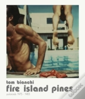 Capa do artigo Fire Island Summers. Polaroids, 1978-1983