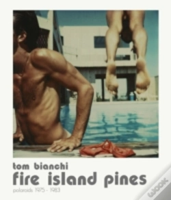 Capa do artigo Fire Island Summers. Polaroids, 1978-1983