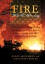 Fire - Preview