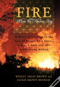 Capa do artigo Fire