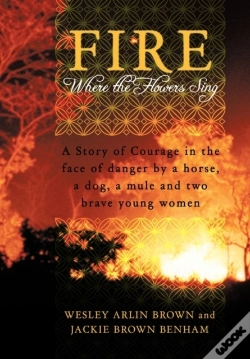 Capa do artigo Fire