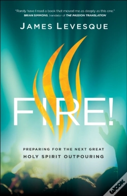 Capa do artigo Fire!