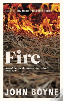 Capa do artigo Fire