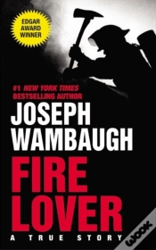 Capa do artigo Fire Lover