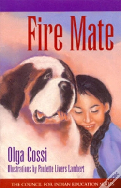 Capa do artigo Fire Mate