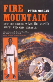 Capa do artigo Fire Mountain