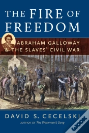Capa do artigo Fire Of Freedom