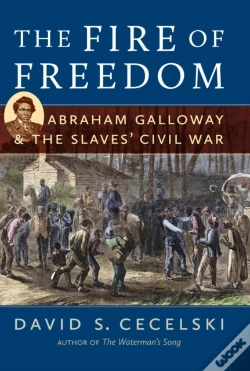 Capa do artigo Fire Of Freedom