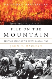Capa do artigo Fire On The Mountain
