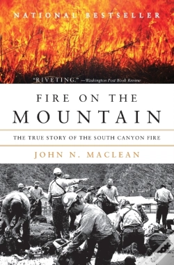 Capa do artigo Fire On The Mountain