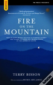 Capa do artigo Fire On The Mountain