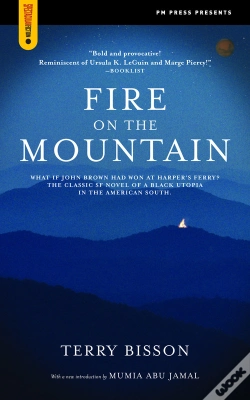 Capa do artigo Fire On The Mountain