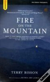 Capa do artigo Fire On The Mountain