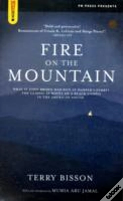 Capa do artigo Fire On The Mountain