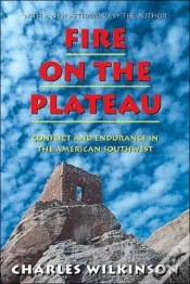 Capa do artigo Fire On The Plateau