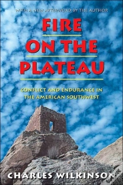 Capa do artigo Fire On The Plateau