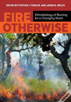 Capa do artigo Fire Otherwise
