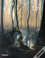 Capa do artigo Fire