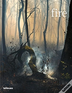 Capa do artigo Fire