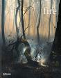 Fire - Preview