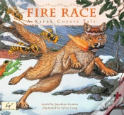 Capa do artigo Fire Race