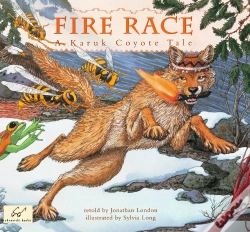 Capa do artigo Fire Race