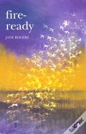 Capa do artigo Fire Ready