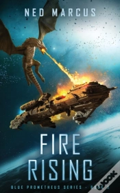 Capa do artigo Fire Rising
