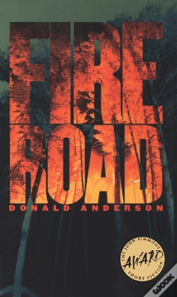 Capa do artigo Fire Road