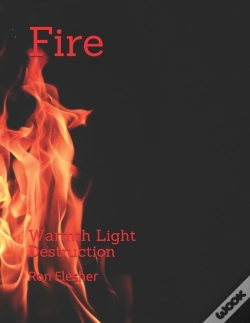 Capa do artigo Fire