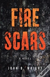 Capa do artigo Fire Scars