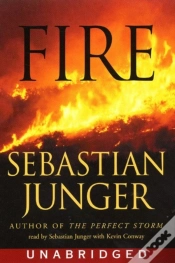 Capa do artigo Fire
