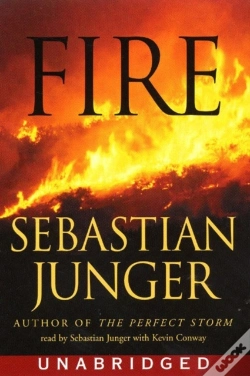 Capa do artigo Fire