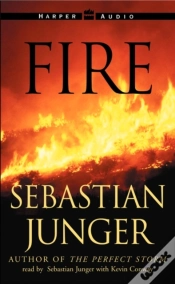 Capa do artigo Fire