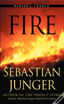 Capa do artigo Fire
