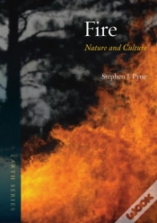 Capa do artigo Fire