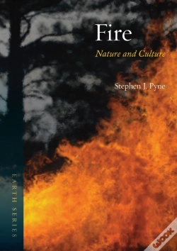 Capa do artigo Fire