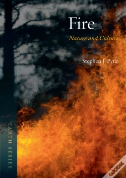 Capa do artigo Fire