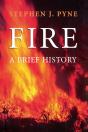 Fire - Preview