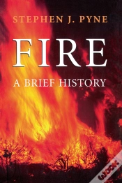 Capa do artigo Fire