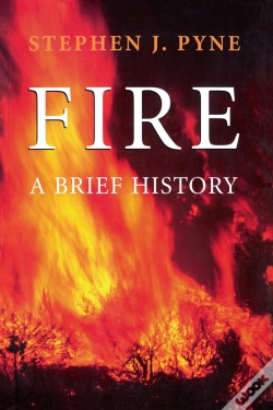 Capa do artigo Fire